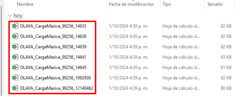 Archivo:DescargaMasivaRPH 3.png