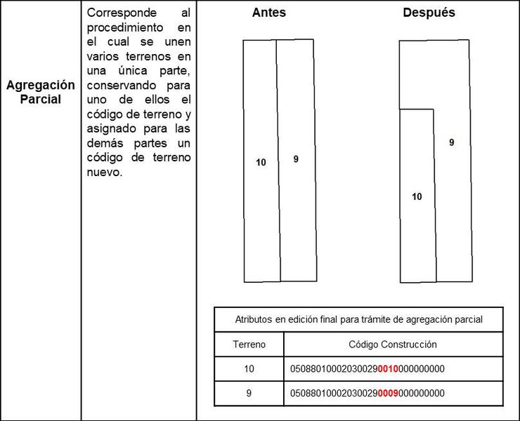 Archivo:Seg49.jpg