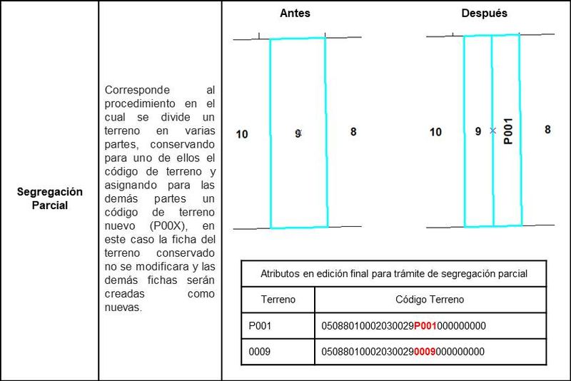 Archivo:Seg36.jpg
